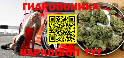apvp Нальчик