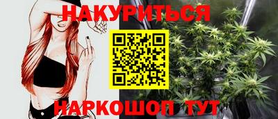 apvp Нальчик