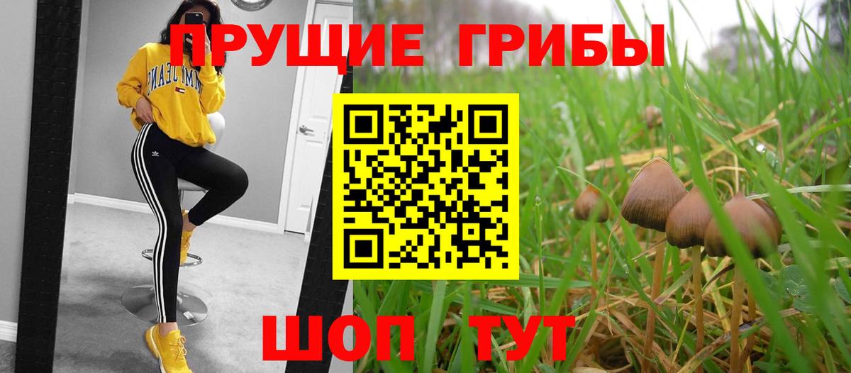 где купить наркотик  Псилоцибиновые грибы Cubensis  Псилоцибиновые грибы мицелий  Вход с VPN  Строитель 
